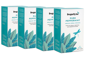 Dragonfly Organic Peppermint Infusion 40g (20s) x4